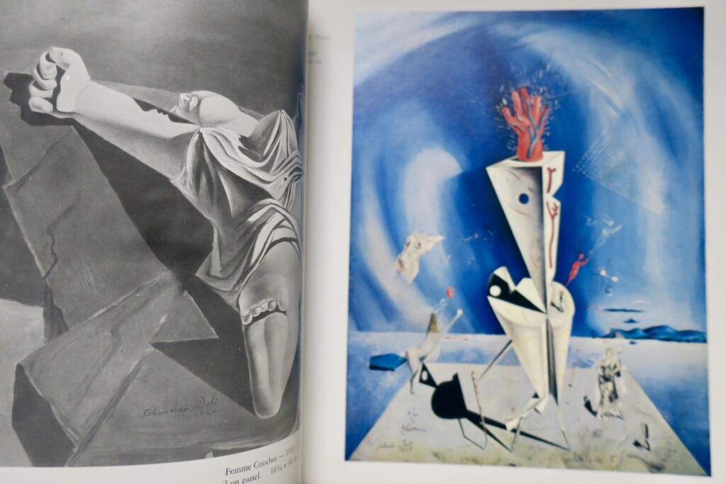 Salvador Dalí catalog of a collection; ninety-three oils, 1917-1970