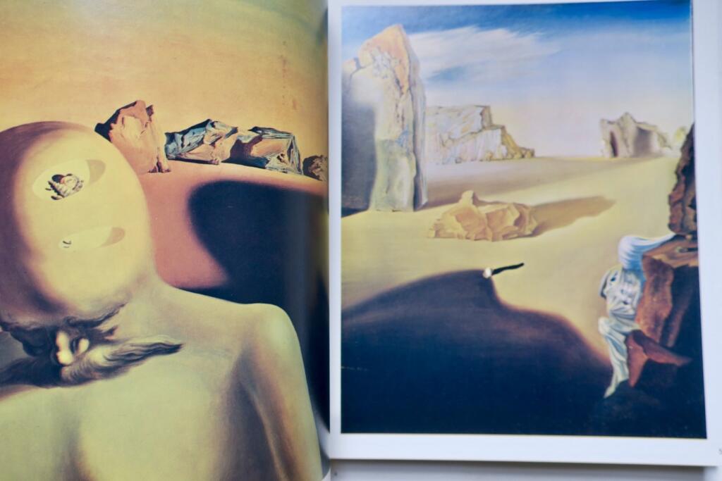 Salvador Dalí catalog of a collection; ninety-three oils, 1917-1970