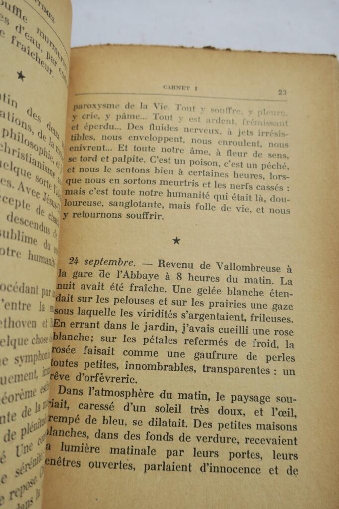 Persönliche Überlegungen von Albert Samain