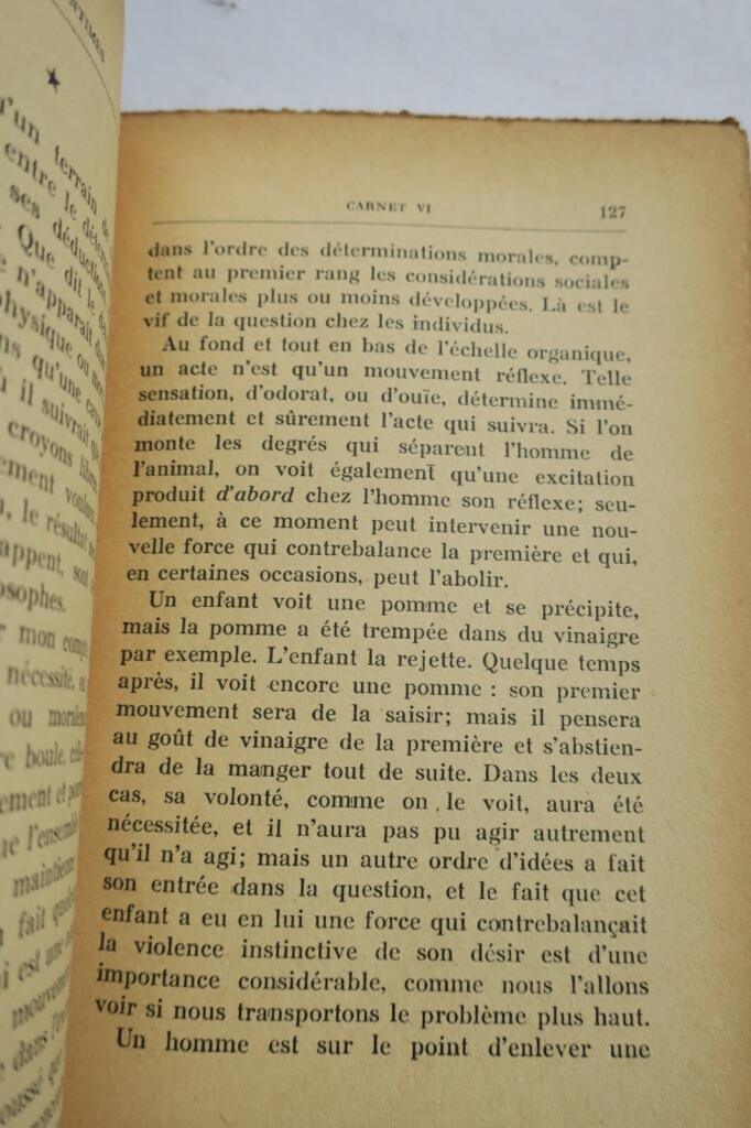 Persönliche Überlegungen von Albert Samain