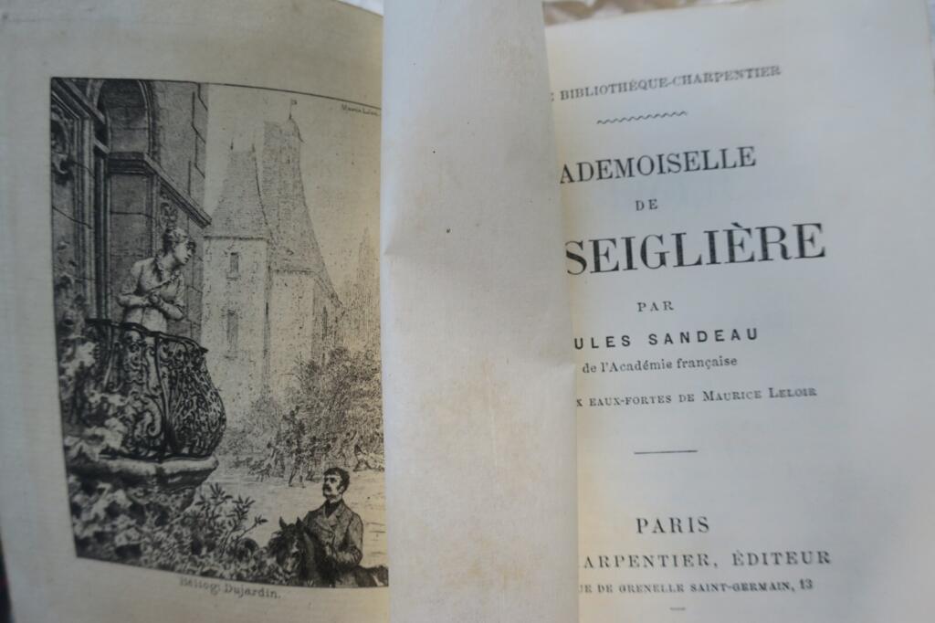 A Young Woman's Destiny and Social Grace