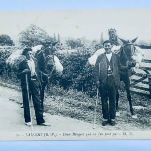 Sanguis deux bergers qui ne s'en font pas