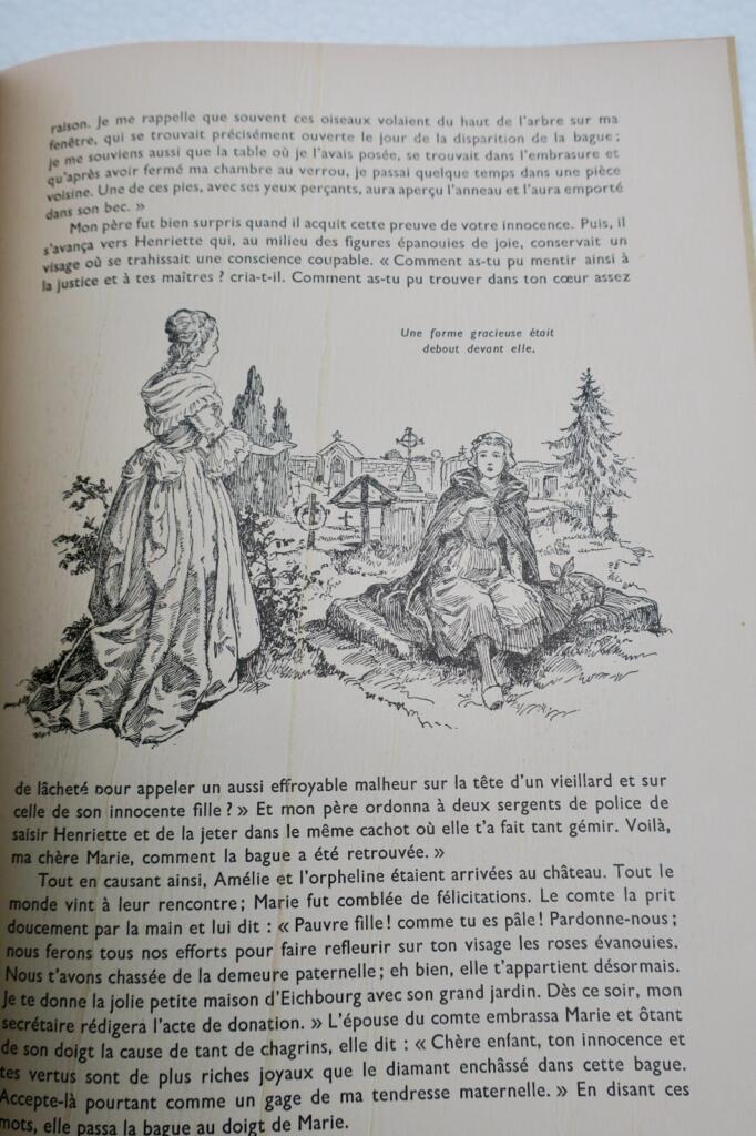 Charming Illustrated Collection for Children