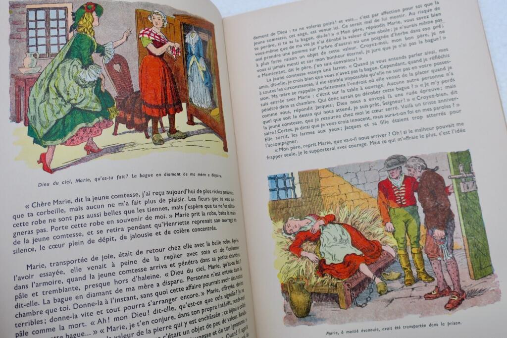 Charming Illustrated Collection for Children