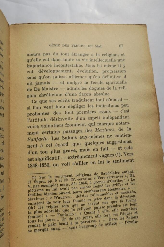 Genie von Baudelaires Meisterwerk