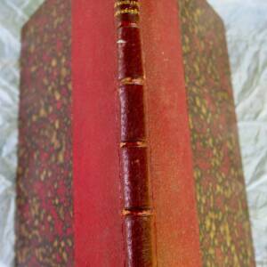 Sem. La démocratie représentative 1869