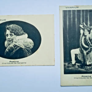 Serpent FEMME SERPENT charmeuse de serpent ROSINA