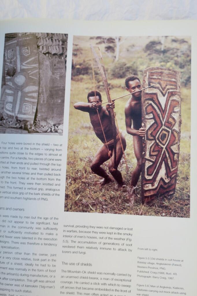 Comprehensive study of Melanesian shield types