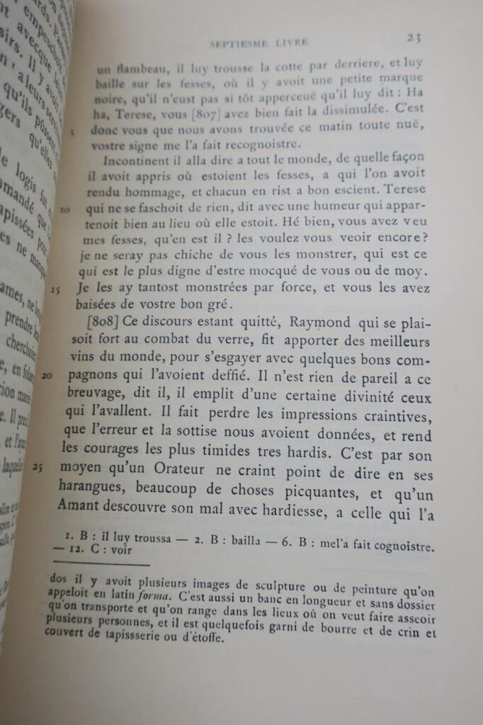 フランスの悪党の滑稽な歴史