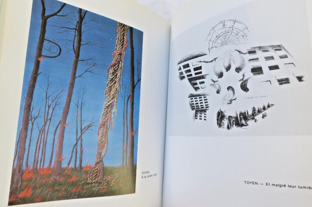 Soupault COLLECTION FANTOME. BIEGAS. BONA. BRAUNER. CAMACHO. CAPASSI…