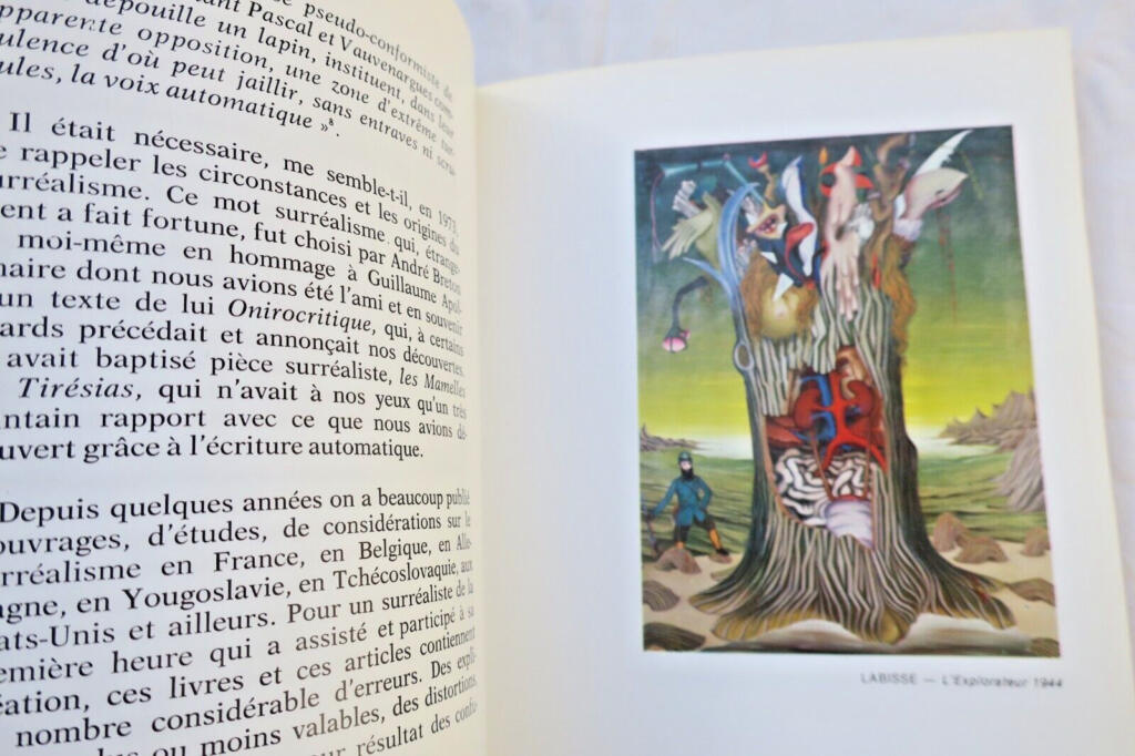 Soupault COLLECTION FANTOME. BIEGAS. BONA. BRAUNER. CAMACHO. CAPASSI…