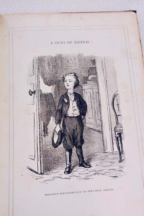 Der sibirische Bär und Fräulein Quatre-Épingles - Image 7
