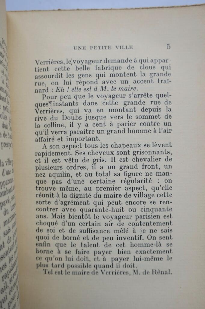 The Red and the Black: A Classic of French Literature