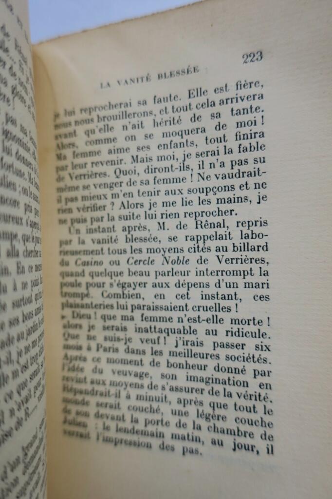 The Red and the Black: A Classic of French Literature