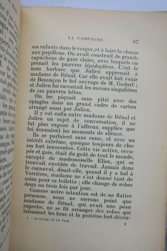 The Red and the Black: A Classic of French Literature