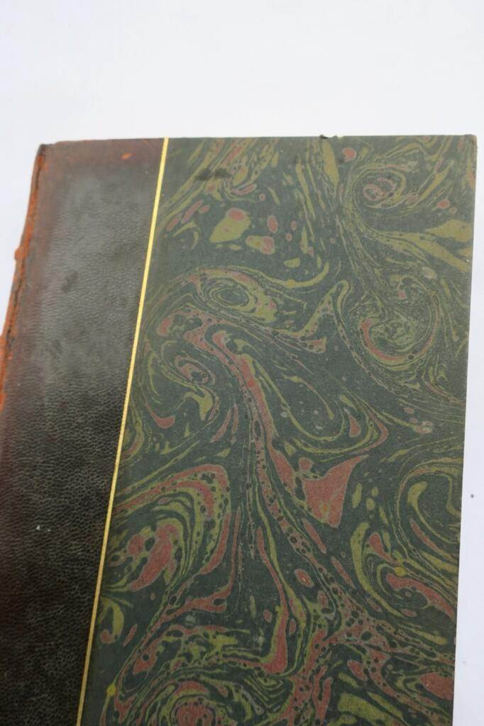 Letters to Pauline - Annotated Edition