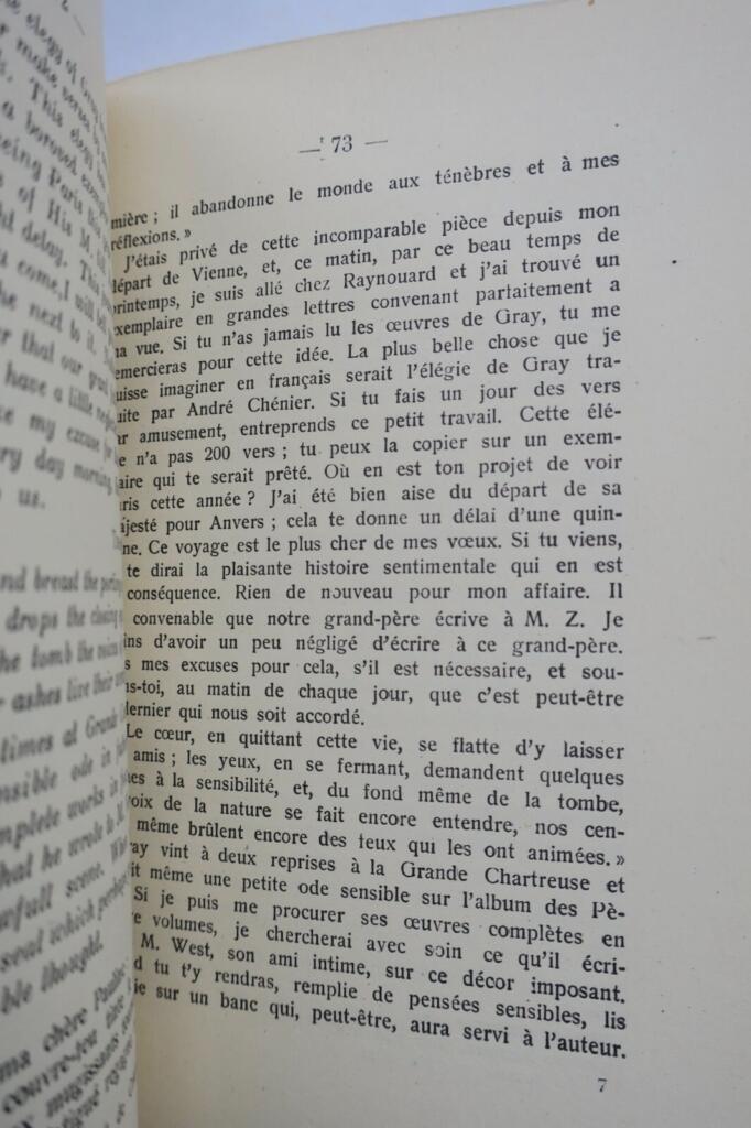 Letters to Pauline - Annotated Edition