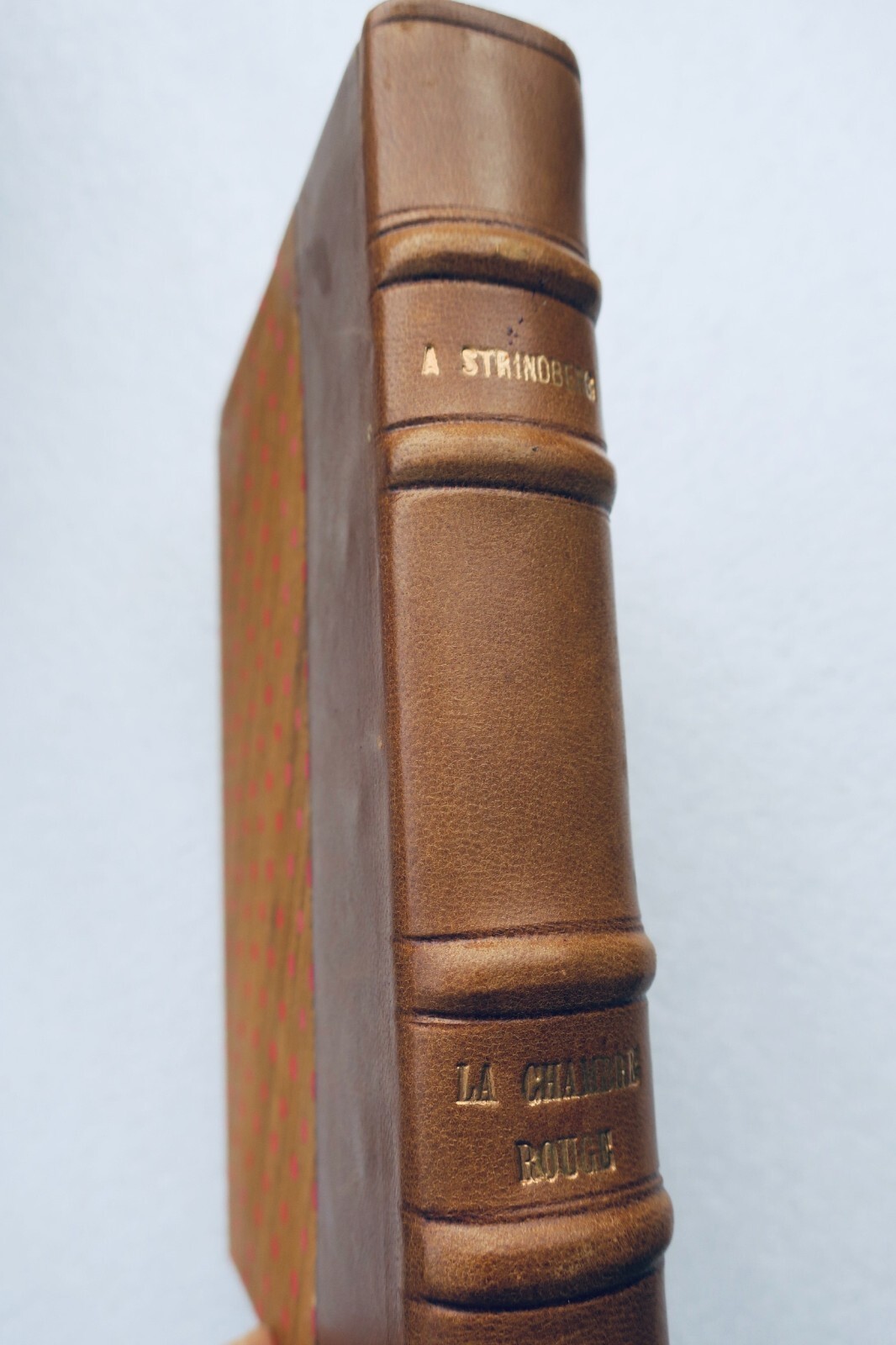 Strindberg La Chambre Rouge – Image 3