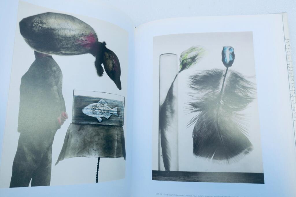Art of Surrealism in Turbulent Times