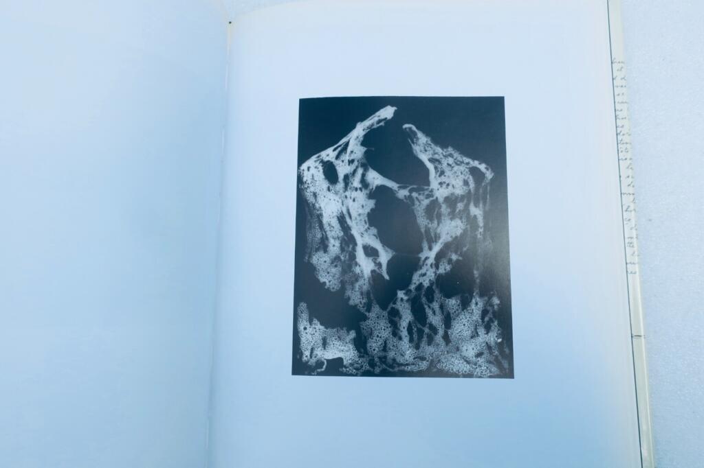 Art of Surrealism in Turbulent Times