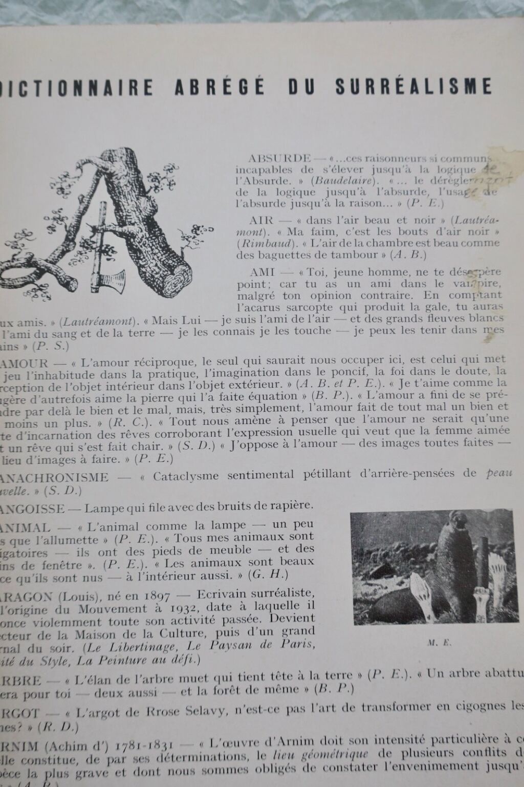 Surrealist Dictionary 1938