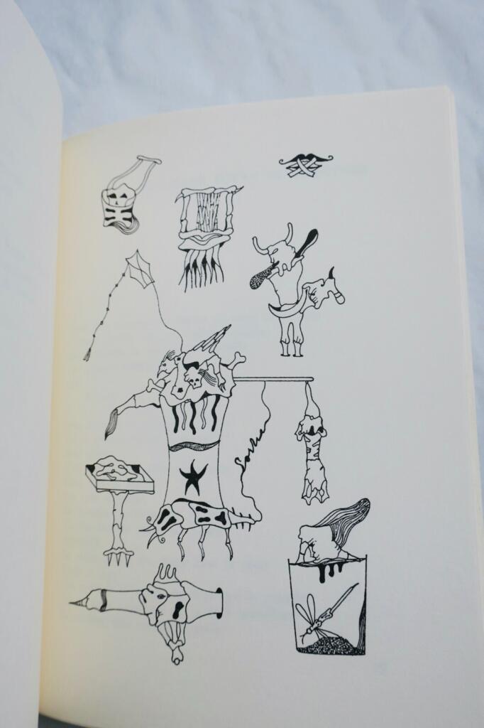 Surrealism and the Artist's Vision