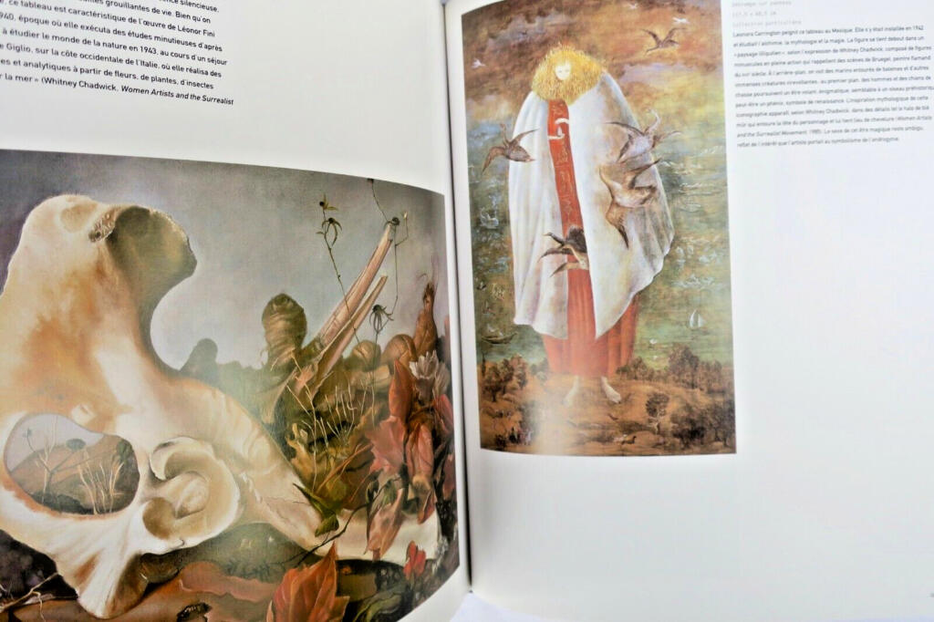 Surrealism: Comprehensive illustrated survey