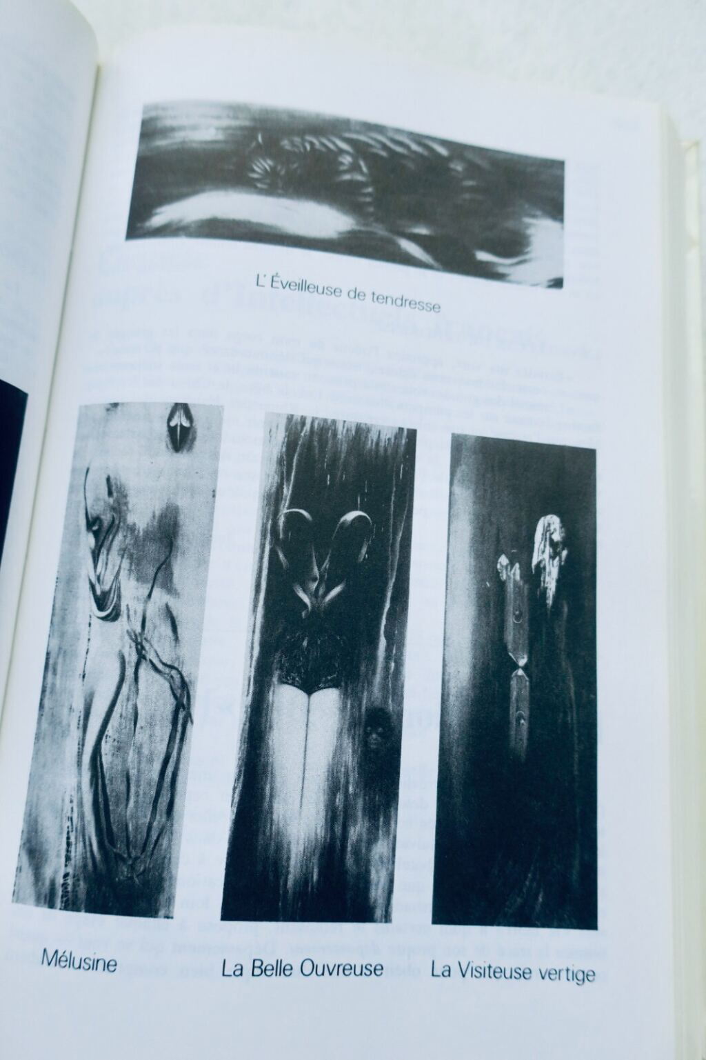 Surrealistische Manifeste und kollektive Erklärungen 1922-1969