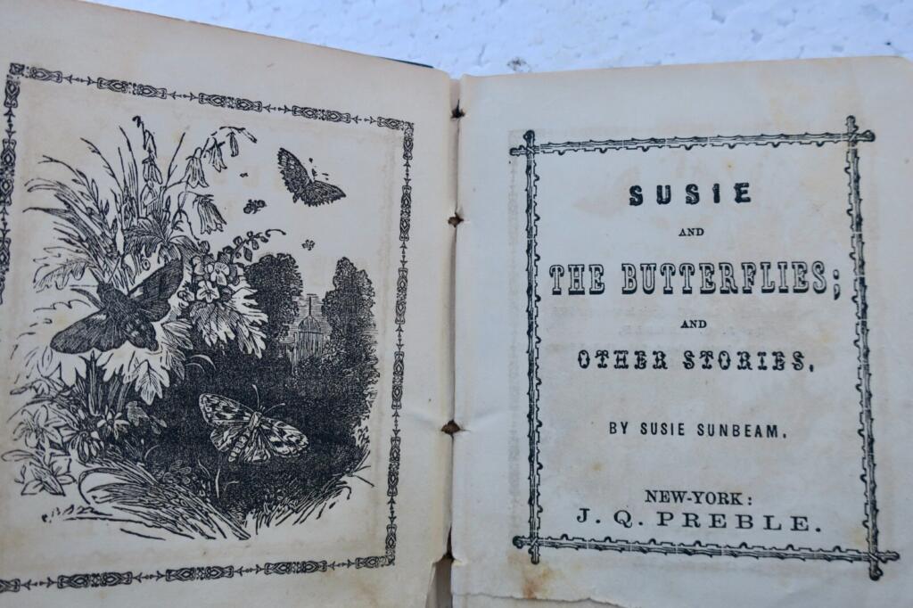 Susie and the Butterflies: A Collection of Stories