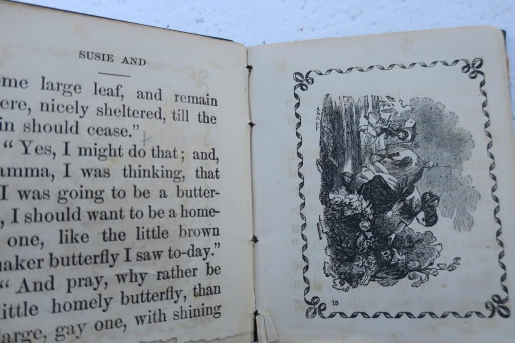 Charming tales of Susie and butterflies