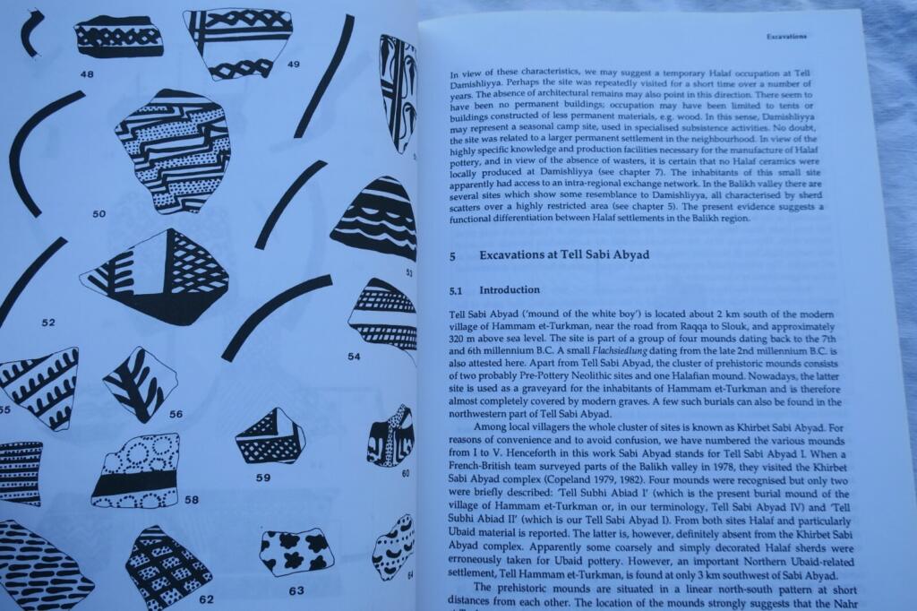 SYRIA Villages in the Steppe: Late Neolithic Settlement and ..