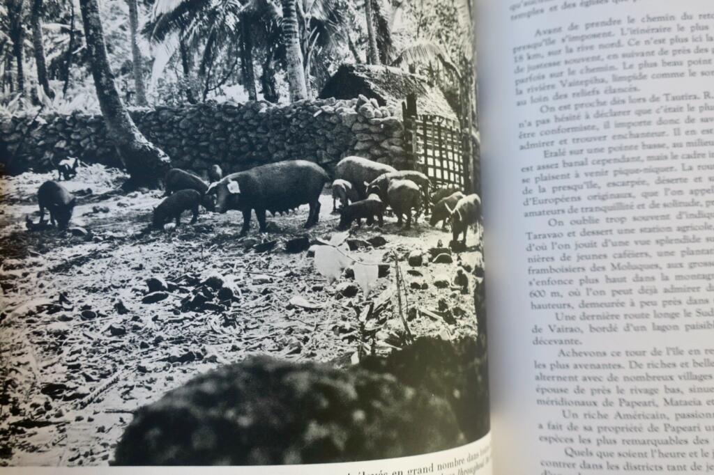 TAHITI ET SES ARCHIPELS – POLYNESIE FRANCAISE 1958