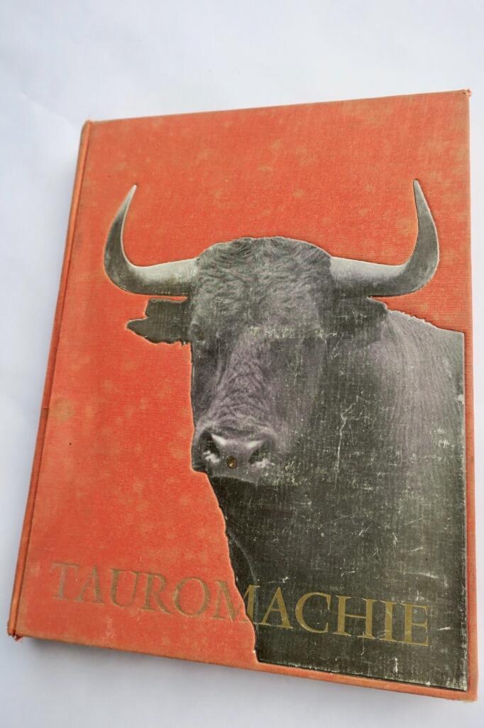Tauromachie, biographie d’une course