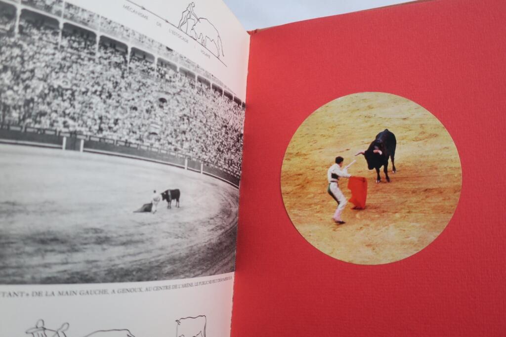 Tauromachie, biographie d’une course