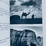 Tchad Carnets De Route D'un Méhariste Au Tchad (1936-1940) Sépia