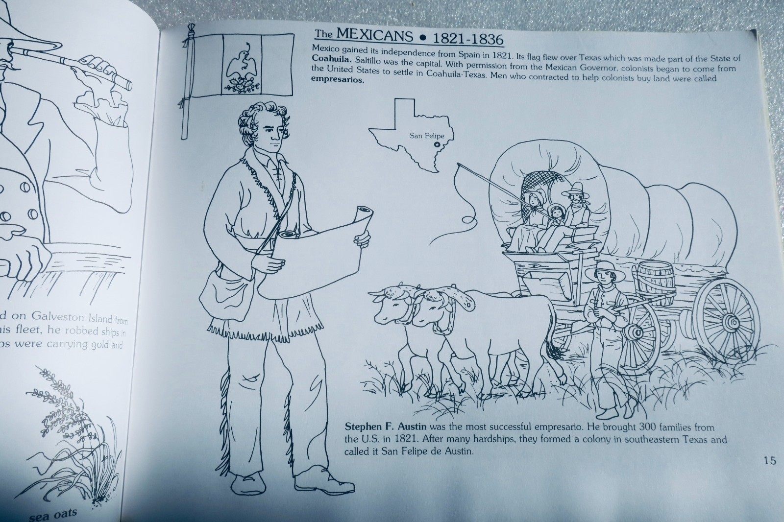 A Picture History of Texas – Image 6