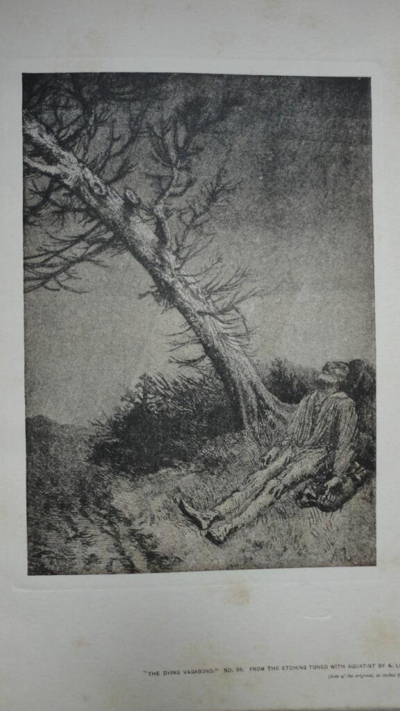 THE STUDIO an illustrated magazine of fine art & applied art jan. 15 1903
