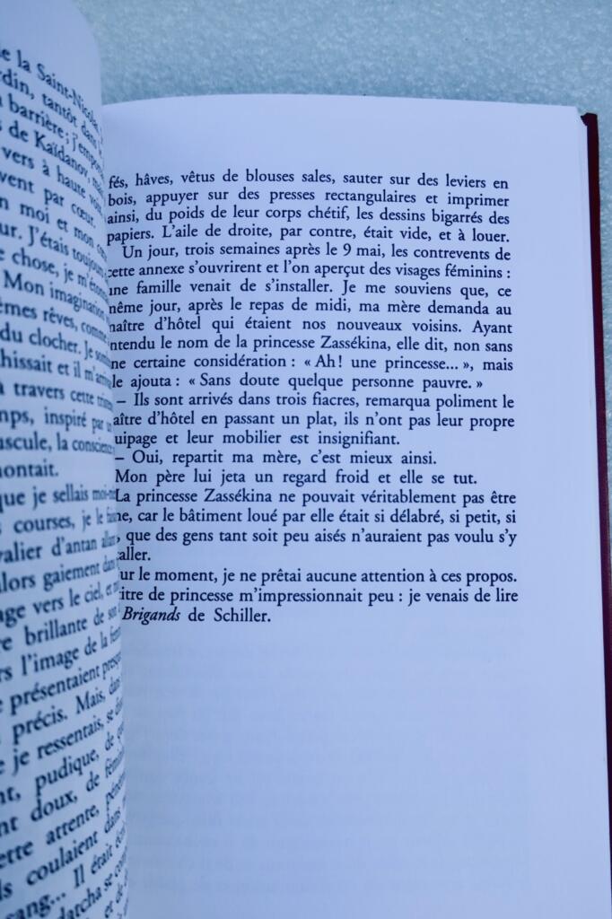 Erste Liebe - Novelle der Jugend und Leidenschaft