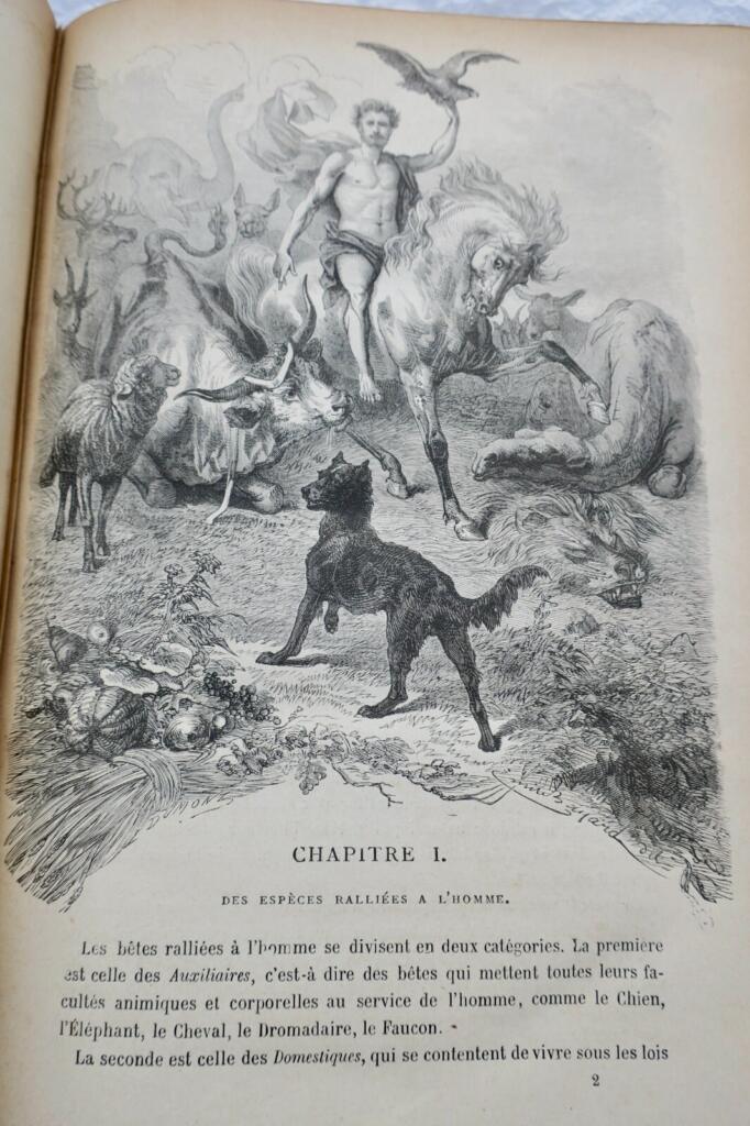 Tiergeist in einem illustrierten Bestiarium des 19. Jh.