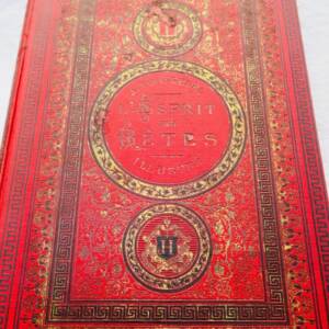 TOUSSENEL A. L'ESPRIT DES BETES J. HETZEL