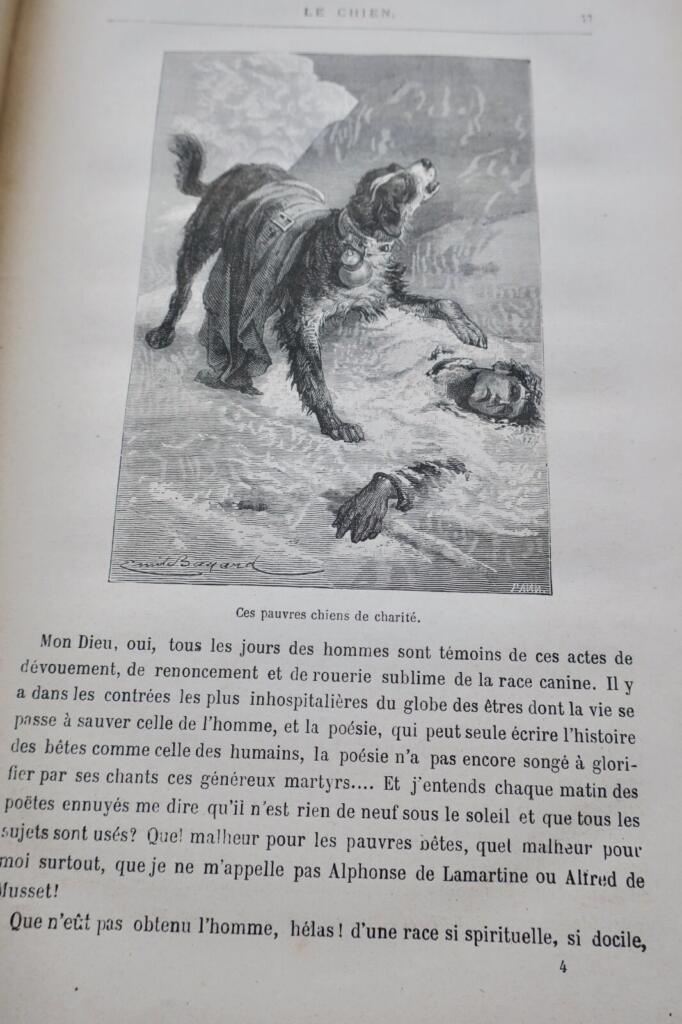 Spirit of Animals: Illustrated Classic