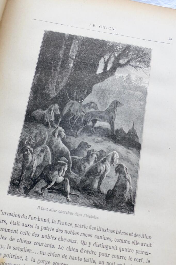 Spirit of Animals: Illustrated Classic