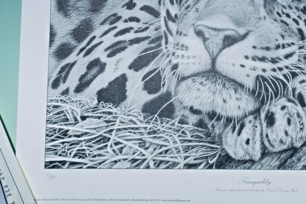 Limited Print by David Dancey-Wood