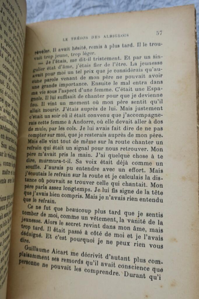 Der Schatz der Albigenser: Roman aus dem 16. Jahrhundert in Toulouse
