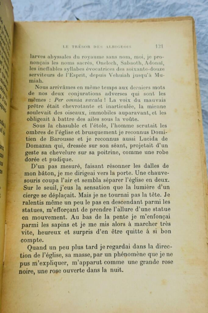 Der Schatz der Albigenser: Roman aus dem 16. Jahrhundert in Toulouse