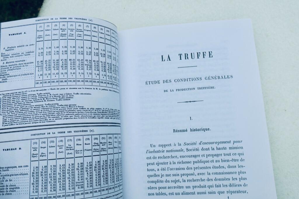 truffe Chatin La Truffe : étude des conditions générales de la production