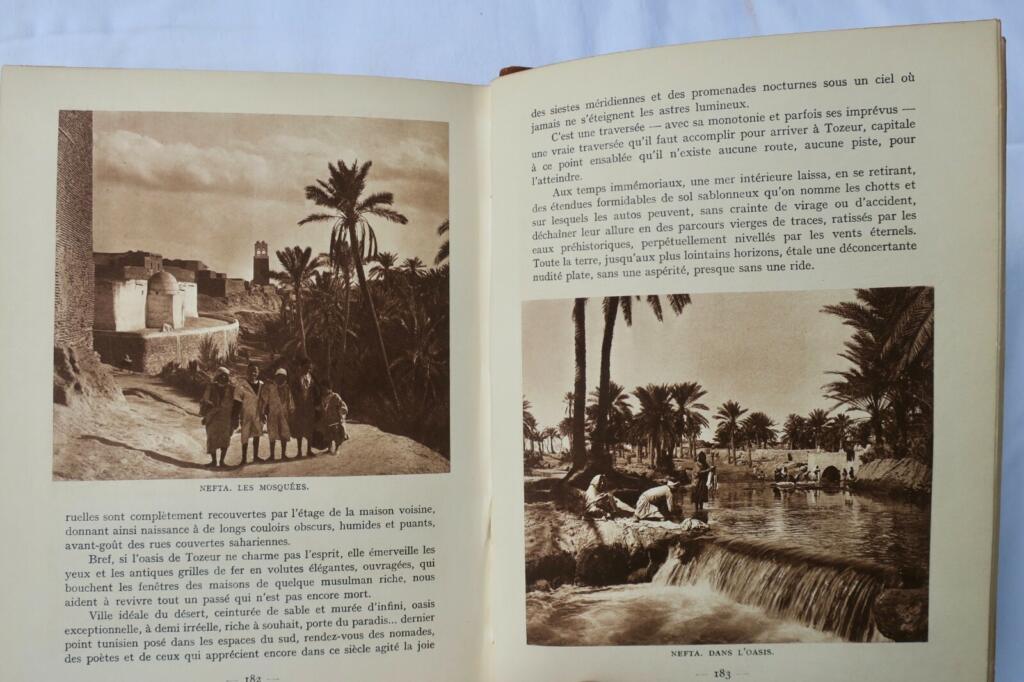 Tunisie P. Dumas La Tunisie 1937 203 héliogravures