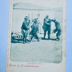 TURQUIE - Montreur d'ours Salut de Constantinople