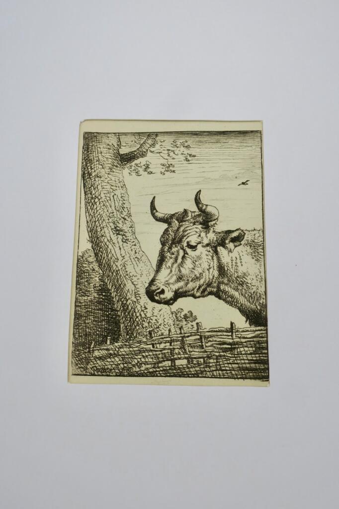 Vaches gravures originales sur cuivre, XVIIè Paülus Potter
