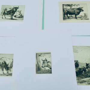 Vaches gravures originales sur cuivre, XVIIè Paülus Potter